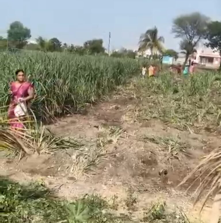 जमीन वादातून तणाव; साष्ठे-कोलवडी येथे विळ्याने हल्ल्याचा प्रयत्न केल्याचा आरोप
